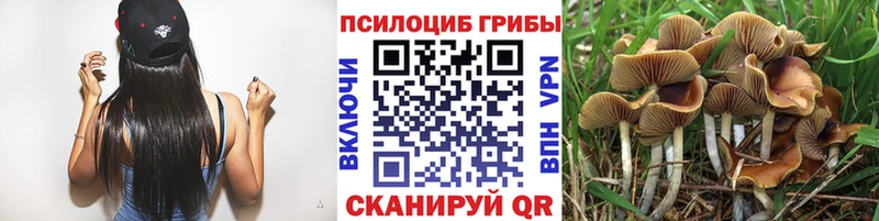 Псилоцибиновые грибы GOLDEN TEACHER Корсаков