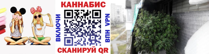 где найти   МЕГА сайт  МАРИХУАНА семена  Корсаков 
